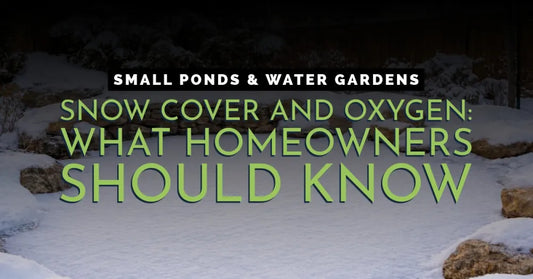 Pond Snow Cover and Oxygen: What Homeowners Should Know Pond Supply