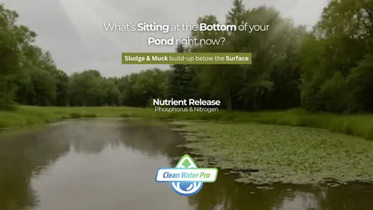 What’s Sitting at the Bottom of Your Pond Right Now? Pond Supply