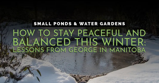 How to Stay Peaceful and Balanced This Winter: Lessons from George in Manitoba Pond Supply