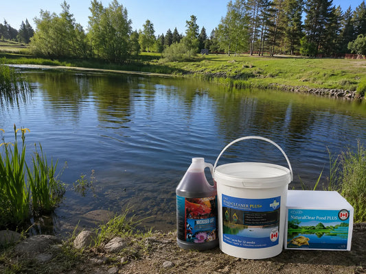 5 Best Pond Cleaners for Clear Water in Canada 2025