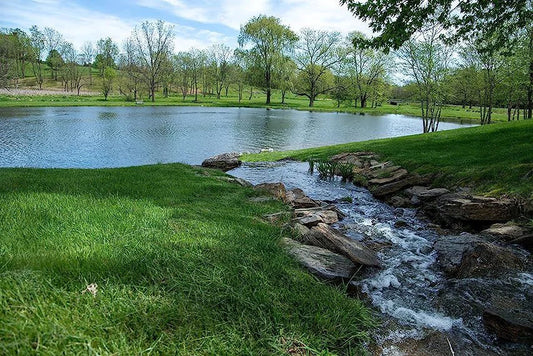 In the News: Clean Water Pro Mentioned by Water Today New York (WTNY)