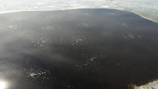Lake Aeration Benefits: How to Protect Your Fish Stocking Investment Pond Supply