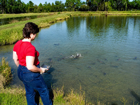 Fighting Invasive Species in Manitoba Waters