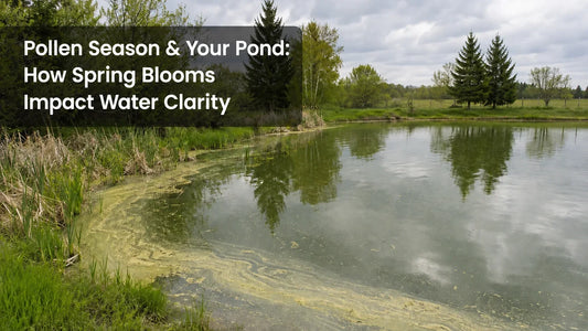 Pollen Season & Your Pond: How Spring Blooms Impact Water Clarity