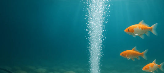 Small Pond/Water Garden Aeration. Why is it important? Pond Supply