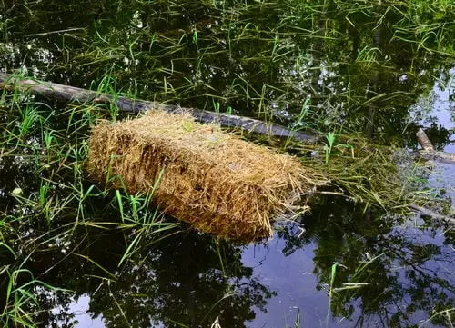The Truth About Barley Straw in Ponds: Risks, Ineffective Results & Fixes Pond Supply