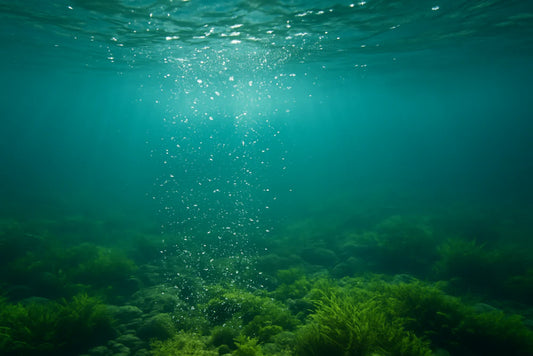 Which Pond Aeration System Is Right for You? Pond Supply