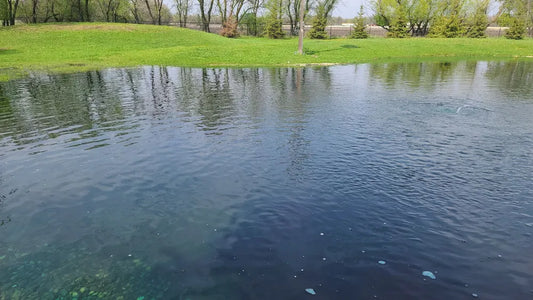 The Power of Beneficial Bacteria: Break Down Organic Matter and Improve Water Quality Pond Supply