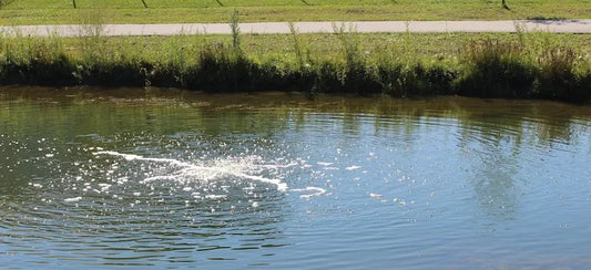 The Technology Behind Fine Bubble Aeration: Why It’s the Best Pond Supply