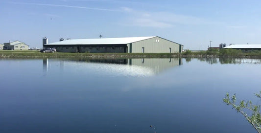 Large Ponds and Dugouts: Swimming, Trout, Irrigation, and More Pond Supply