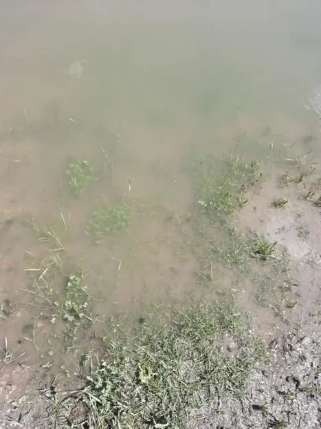 3 Myths About Pond Muck You’ll Want to Know Pond Supply
