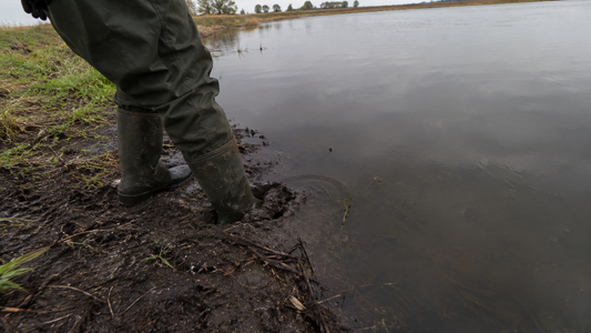 The Hidden Danger Beneath the Surface: Safety Hazards of Heavy Muck Accumulation in Ponds
