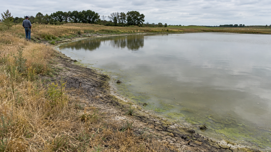 Your Farm Pond Is Telling You Something. Are You Listening?