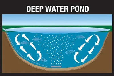 Pond Depth: Why Depth Matters Pond Supply