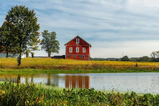 Understanding Pond Foam: What It Tells You About Water Quality Pond Supply