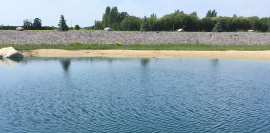 Tired of Battling Algal Blooms? Phosphates Are Likely The Cause! Pond Supply