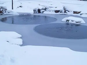 Winterize Your Pond: Water Gardens, Koi Ponds, and Dugouts Pond Supply