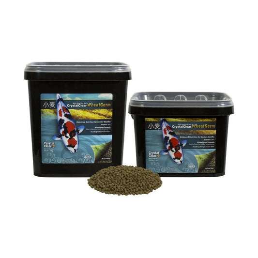 Wheatgerm Fish Food | Goldfish & Koi Food Pond Supply