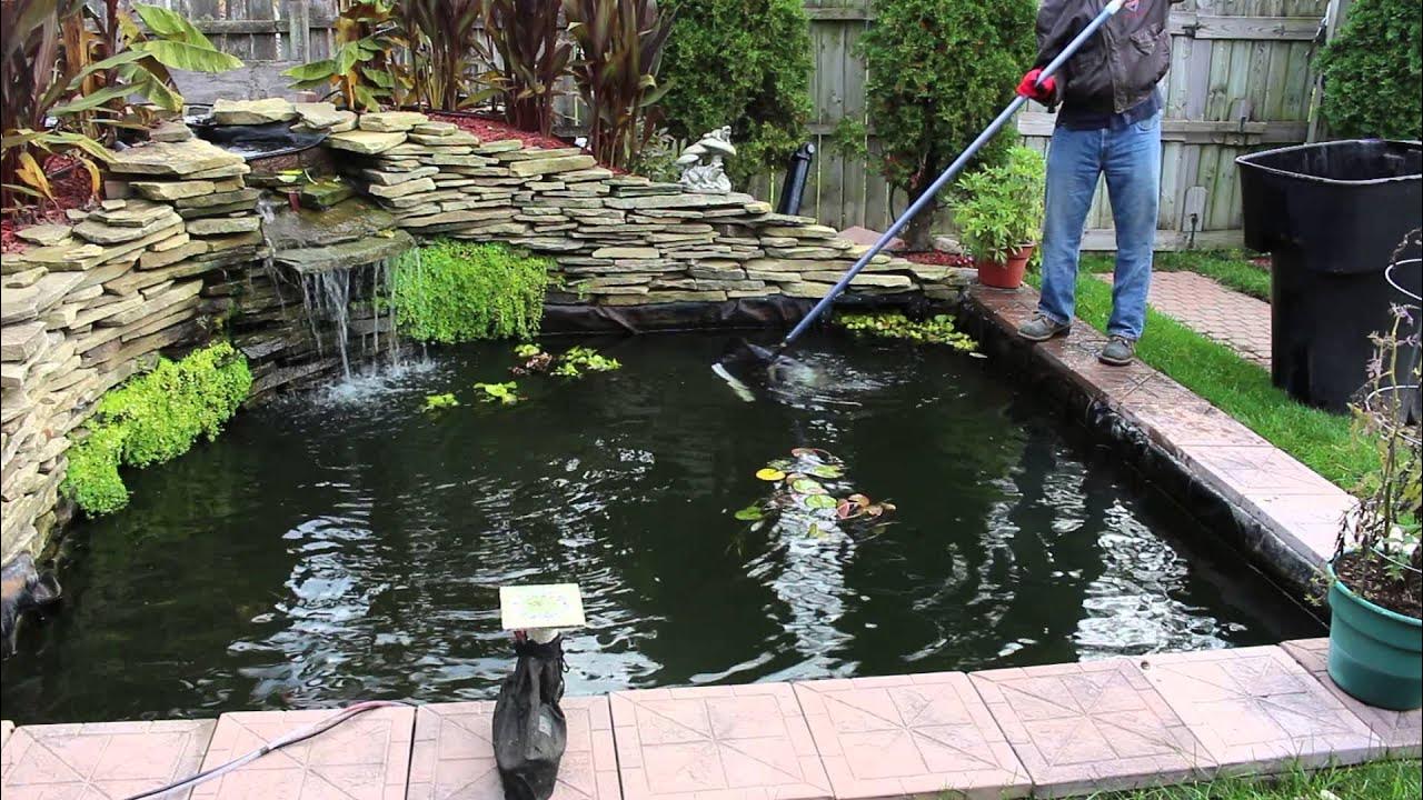 Backyard pond maintenance with a person using a pond net to clean water, remove debris, and care for a garden koi pond.