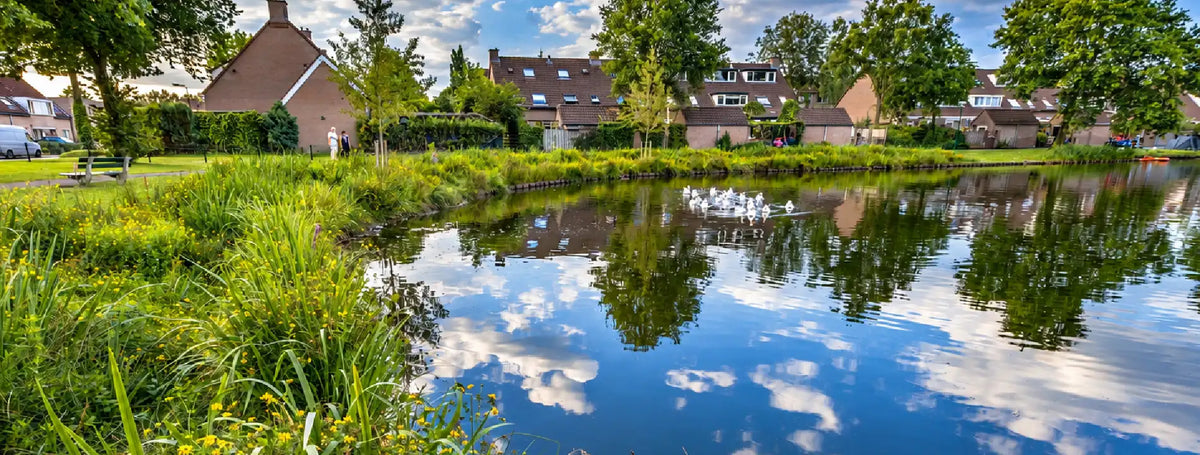 Scenic residential pond with clear water reflecting blue skies, lush aquatic plants, and ducks swimming