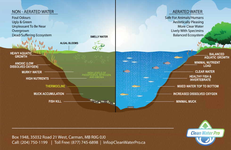 Graphic showing water aeration benefits